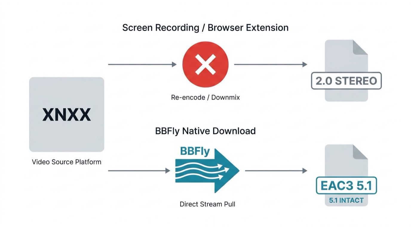 Audio preservation: screen recording produces lossy 2.0 stereo; BBFly native download preserves 5.1