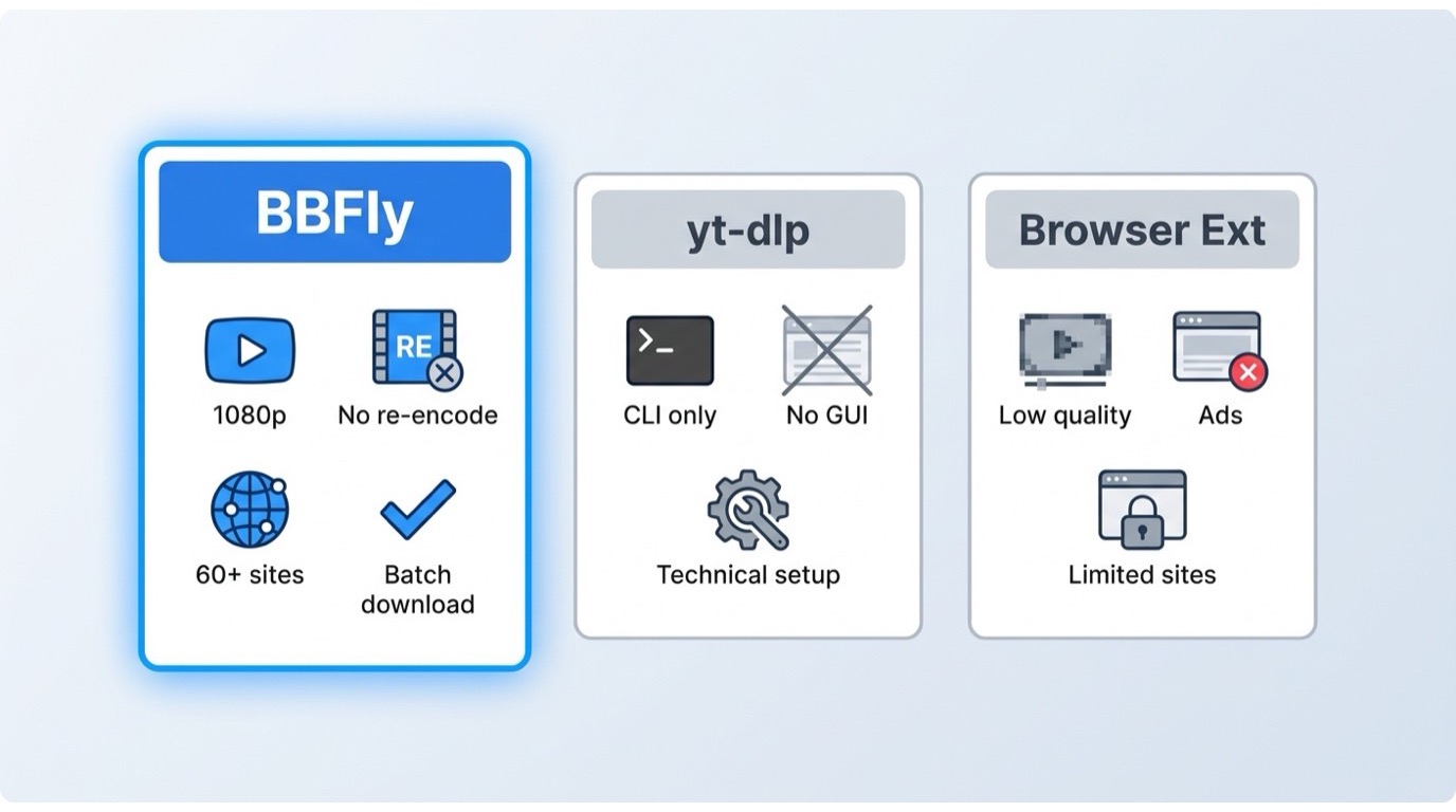 BBFly compared to other Beeg video downloaders