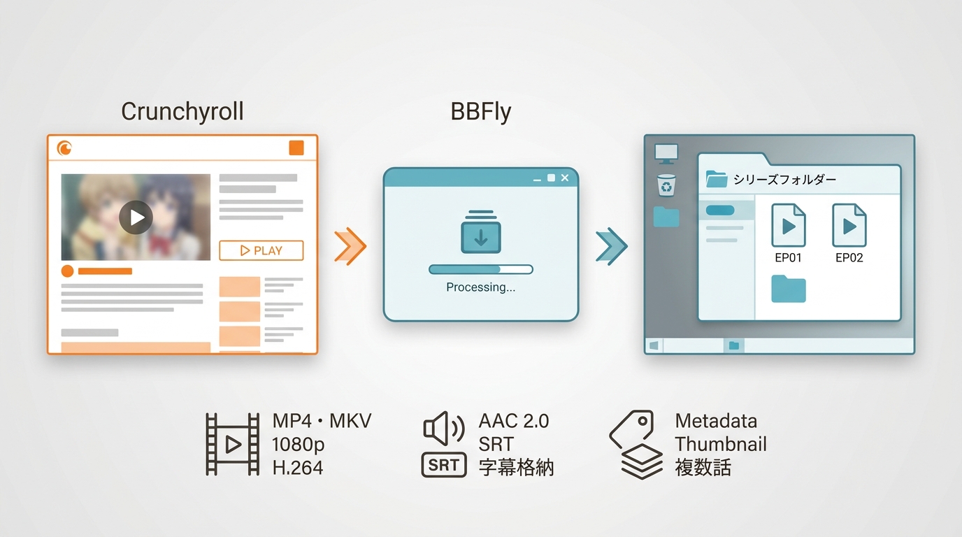 BBFlyで保存できるMP4・MKV、1080p、字幕、メタデータと複数話キュー