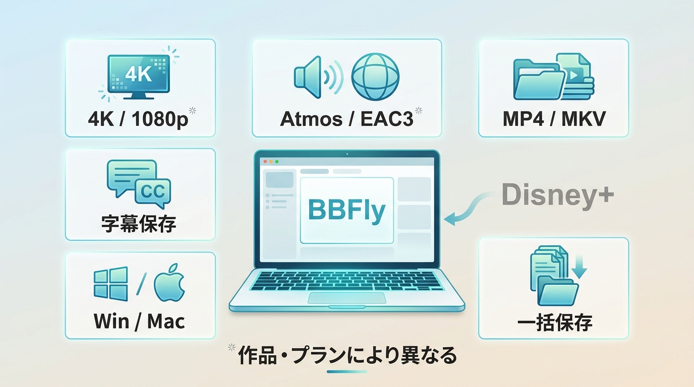 BBFlyの4K、Dolby Atmos、MP4・MKV、字幕、一括保存への対応仕様