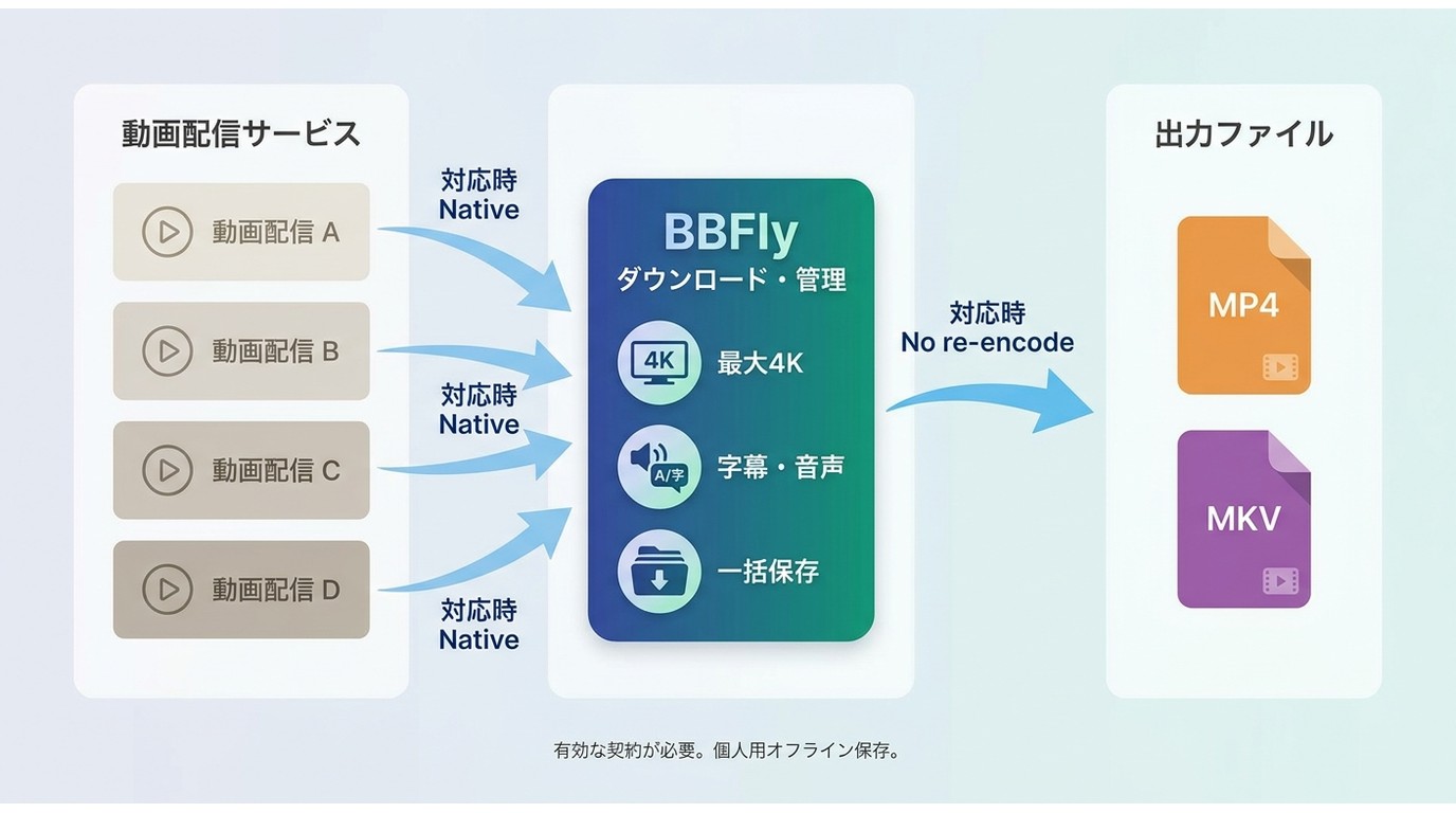 BBFly Downloaderが複数サービスからMP4・MKVへ保存する仕組み