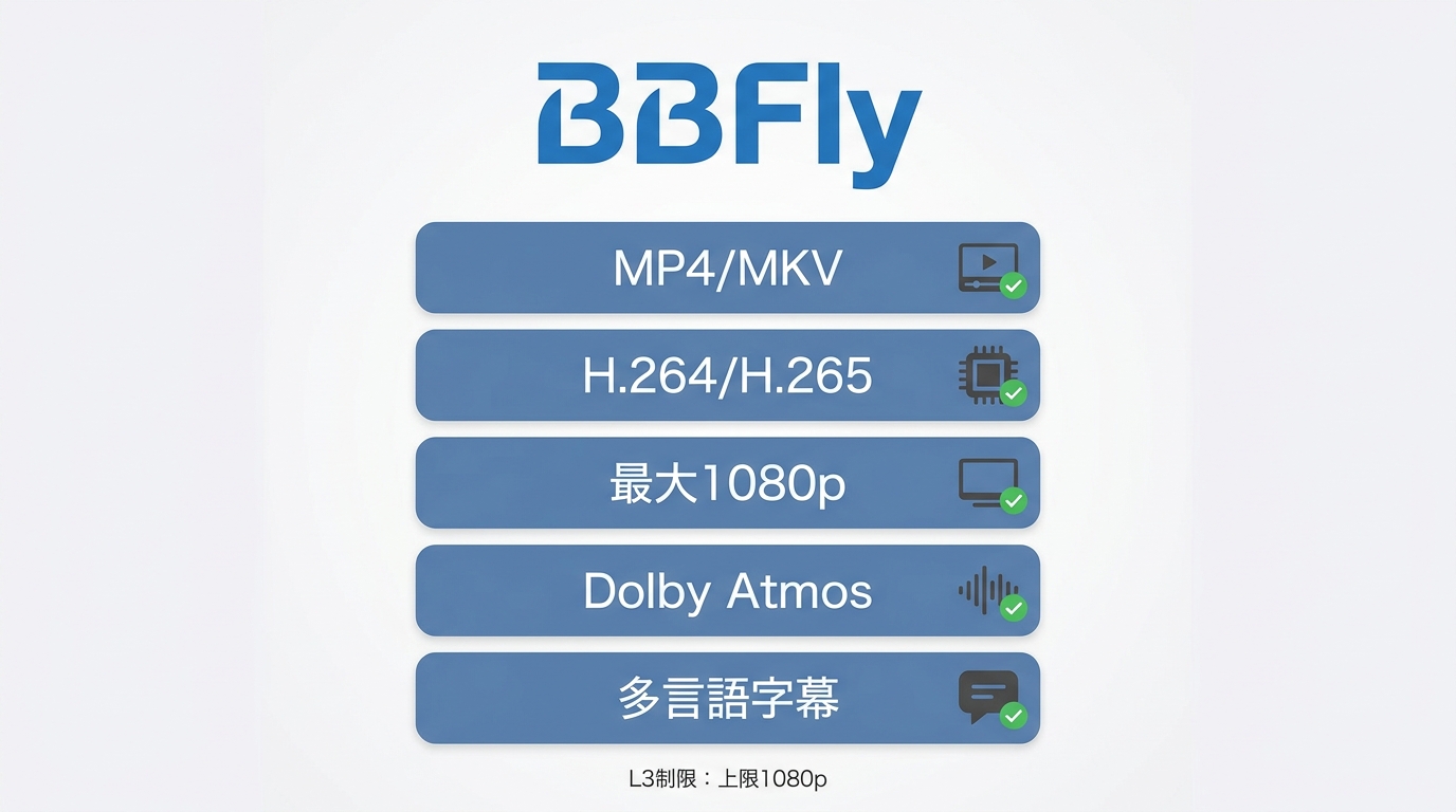 BBFly Netflix Downloaderの出力仕様：MP4/MKV・最大1080p・Dolby Atmos対応・多言語字幕保持、Apple TV互換確認済み