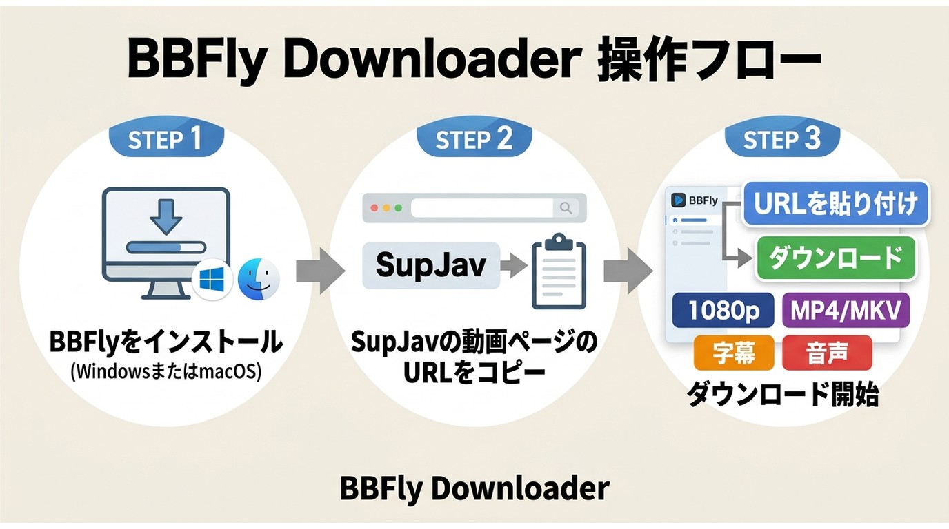 BBFly DownloaderでSupJavのURLを貼り付けて保存する3手順