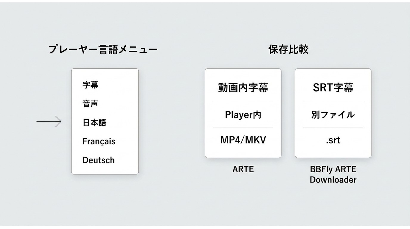 ARTEで字幕と言語を確認する場所と、動画内字幕・別ファイル字幕の違い