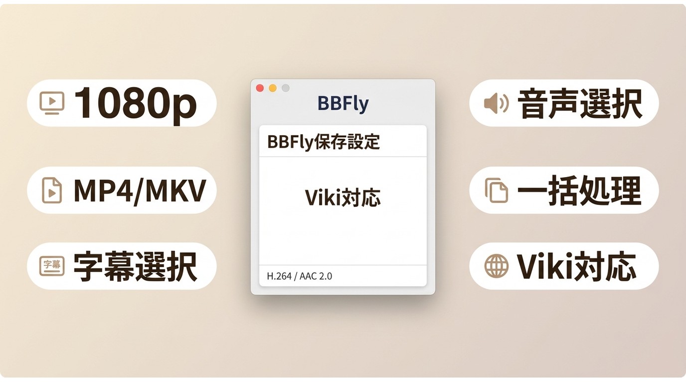 BBFlyで確認できるViki保存設定の要点をまとめた図