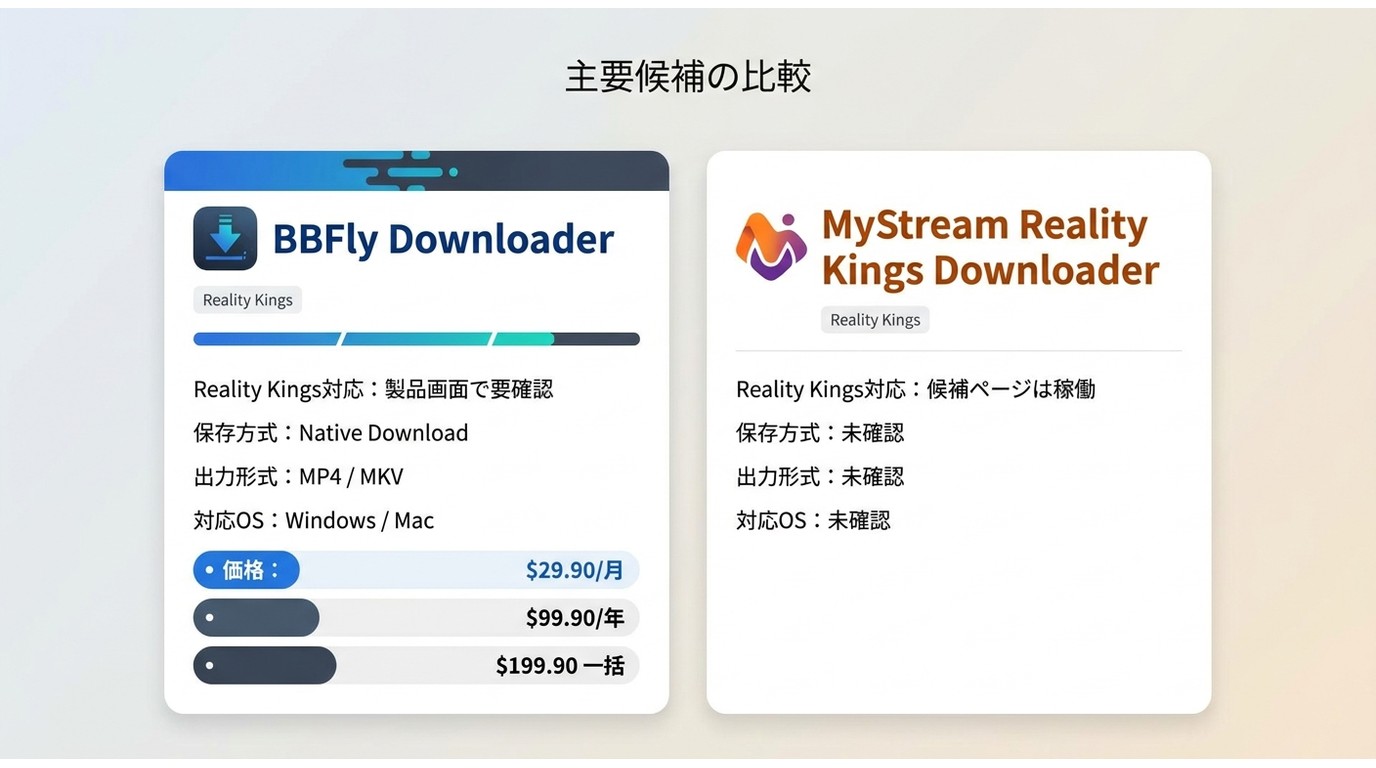 BBFly DownloaderとMyStreamのReality Kings対応状況や保存方式を比べた要点比較