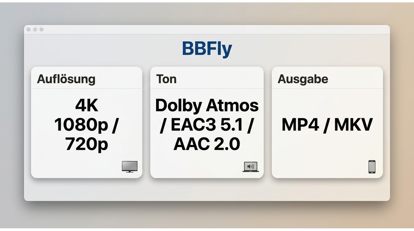 BBFly-Auswahl für Auflösung, Tonformate und MP4 oder MKV vor dem Speichern.