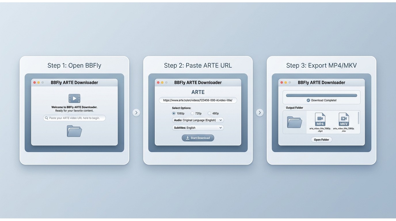 How BBFly saves an ARTE video: paste URL, choose quality and subtitle options, then export MP4 or MK