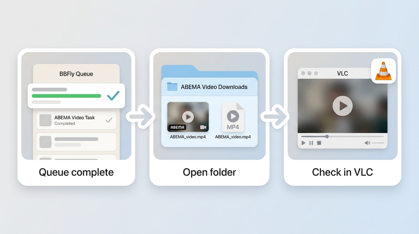 BBFly save workflow from completed queue to local file check in VLC