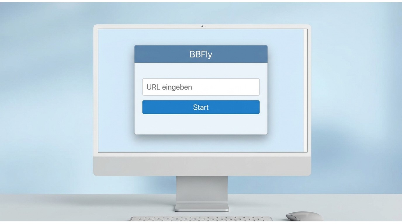 BBFly auf Windows oder Mac nach der Installation mit sichtbarem Startfenster und Eingabebereich