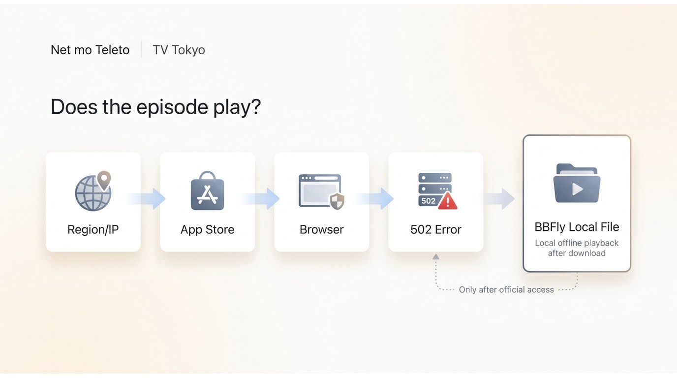 Troubleshooting order for Net mo Teleto playback issues, including region, app store, browser, and s