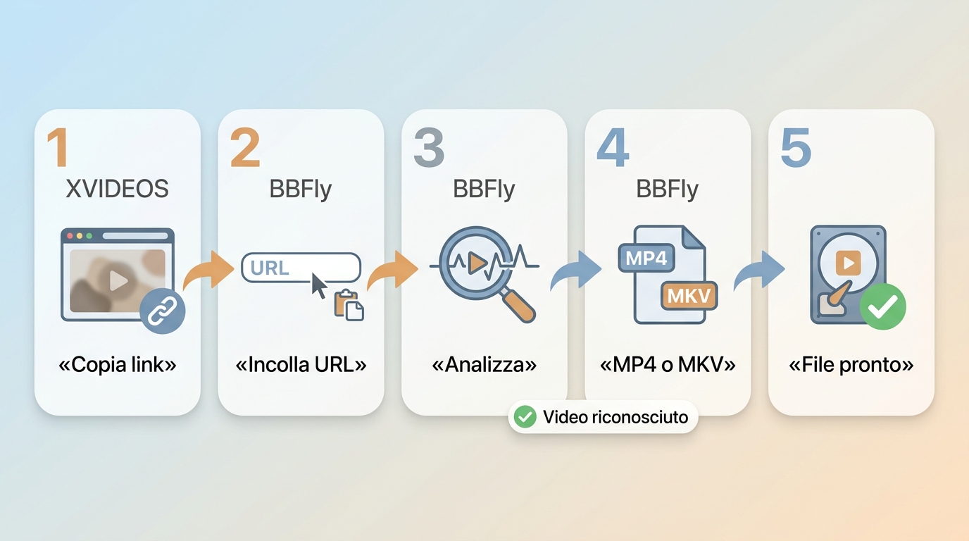 Procedura XVIDEOS: copia link, analizza in BBFly, scegli MP4 o MKV e verifica il file.