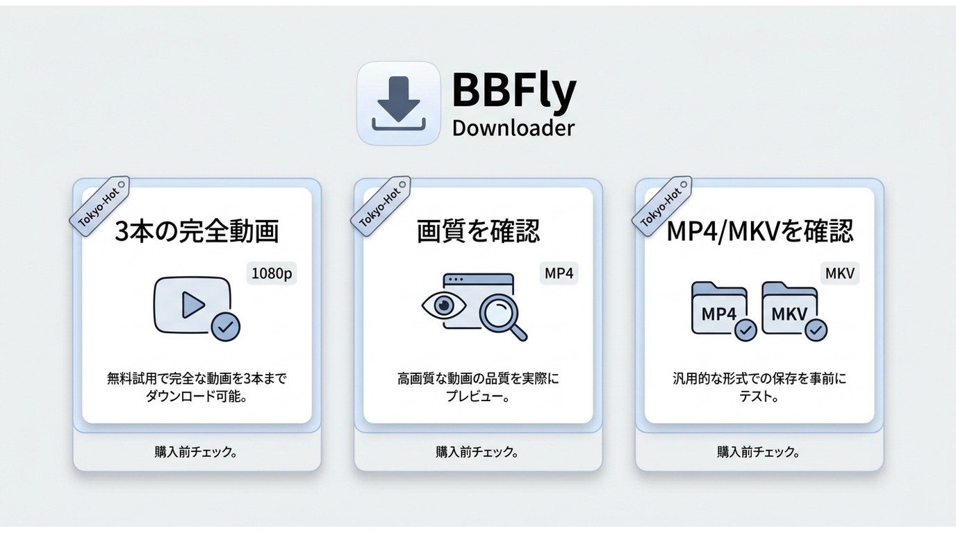 BBFlyの無料試用で確認できる本数・画質・保存形式の要点