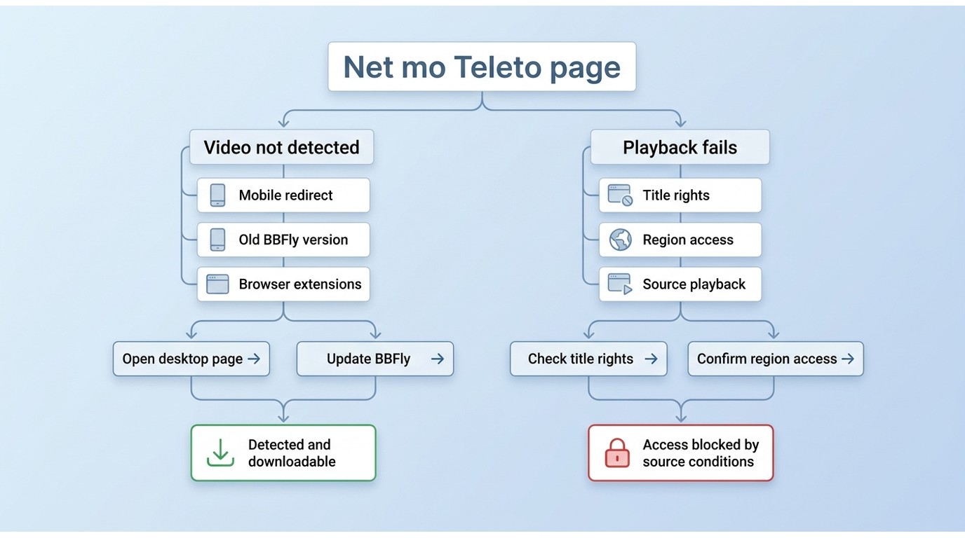 BBFly troubleshooting path for TV Tokyo detection issues, playback failure, mobile redirect, and reg