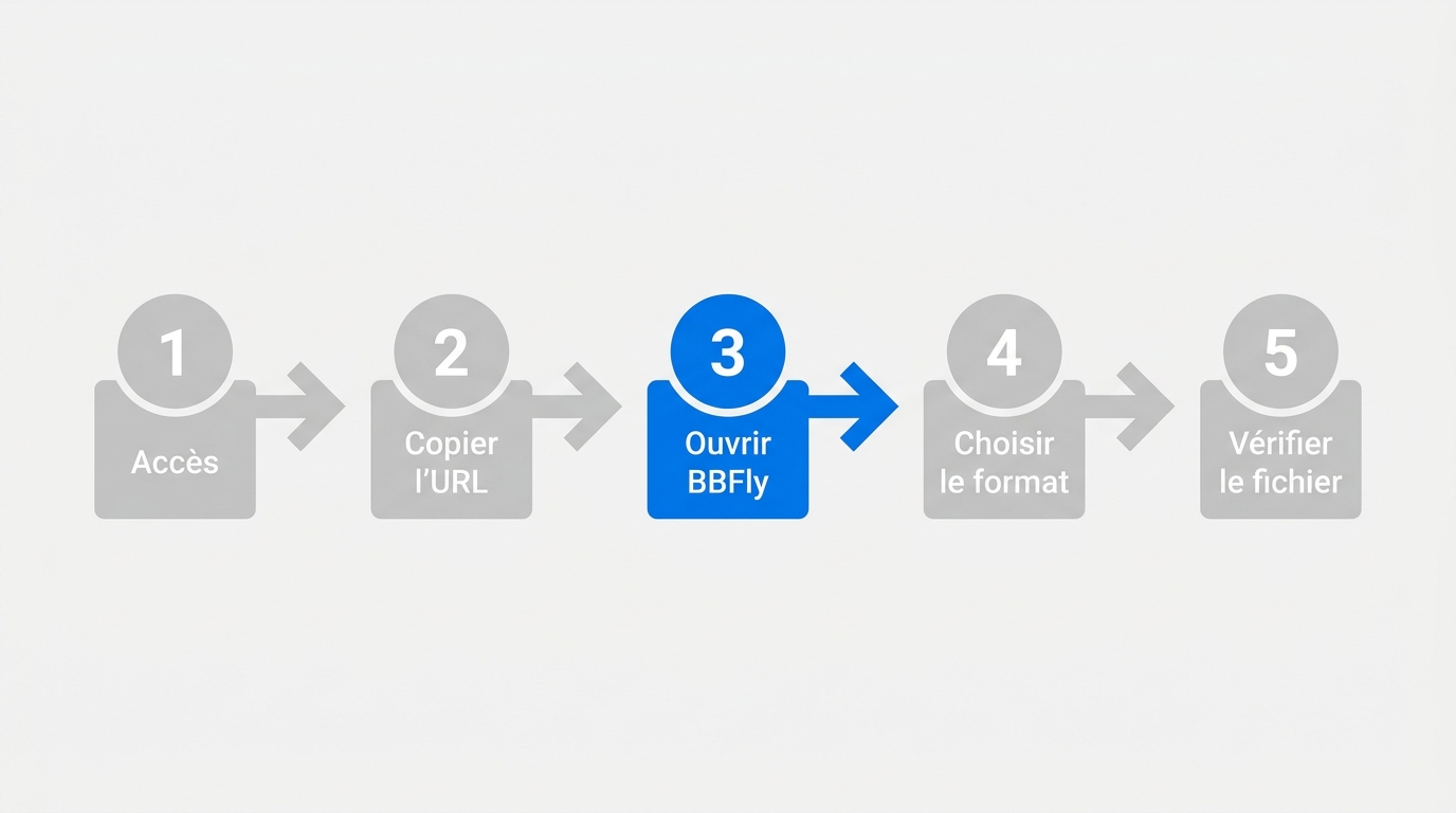 5 étapes pour télécharger XVideos : accès, URL, BBFly Downloader, format MP4/MKV, vérification du fi