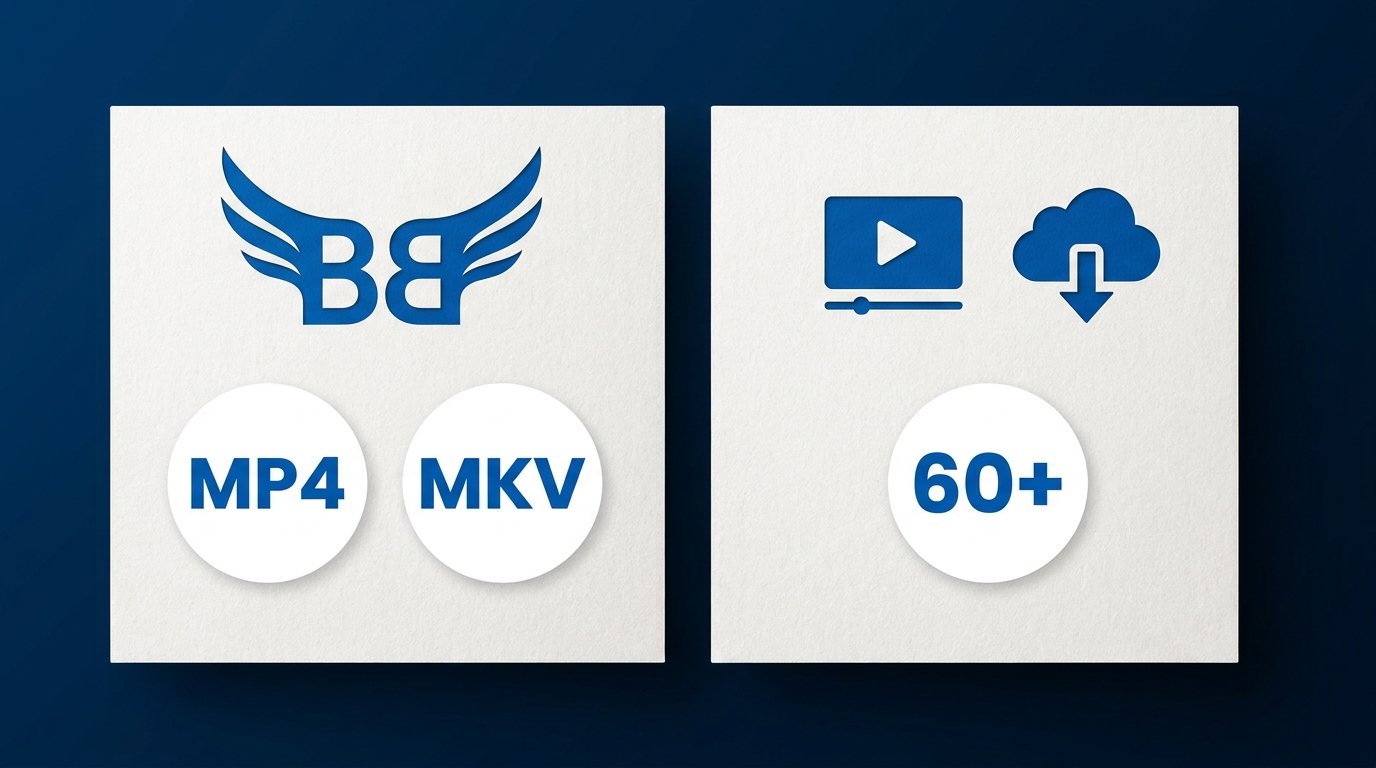 BBFly compatibilité : sorties MP4 et MKV, plus de 60 services dont Disney+ et Netflix