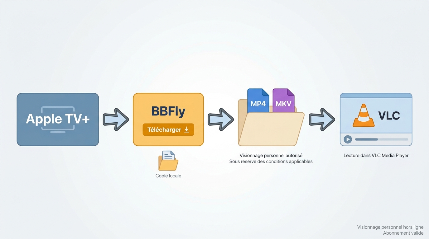 BBFly crée un fichier MP4 ou MKV lisible séparément avec VLC.