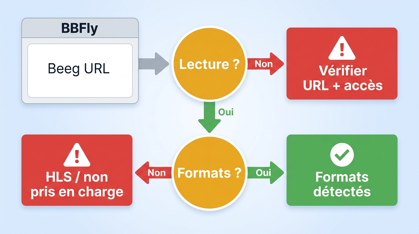 Diagnostic d’une URL Beeg selon l’accès à la vidéo et les formats détectés.