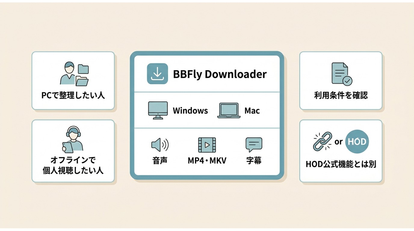 BBFly Downloaderの対応環境とMP4・MKV・字幕機能