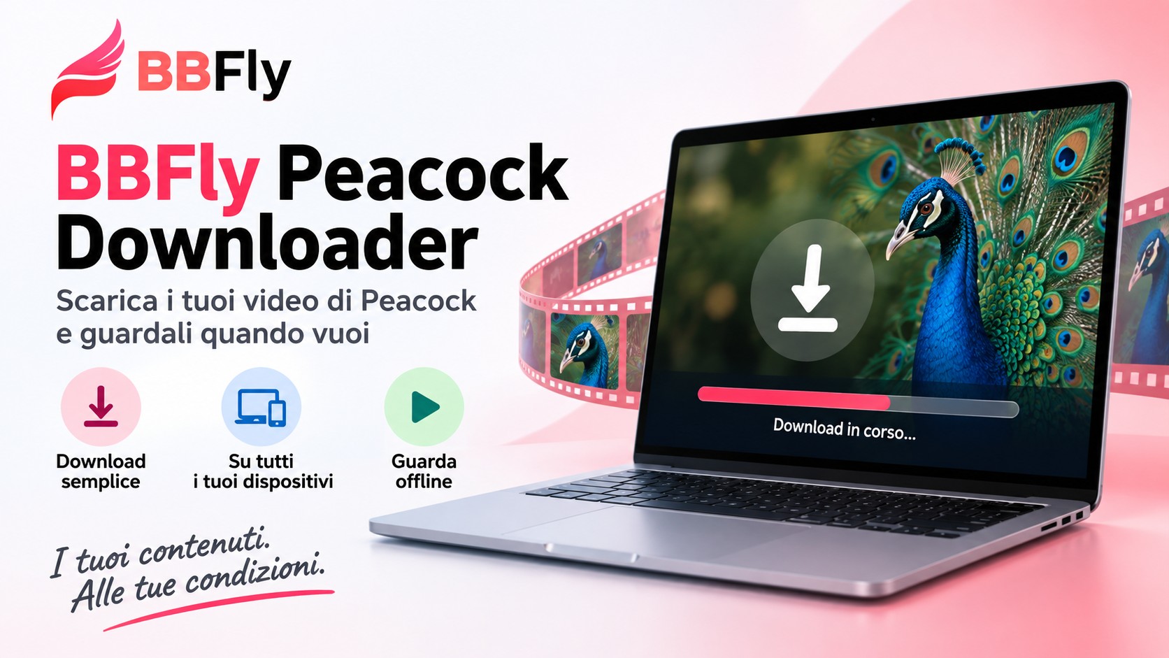 1. BBFly Peacock Downloader